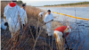 Russia - oil spill in Komi regon- Kolva River - screen grab from video by WWF Russia