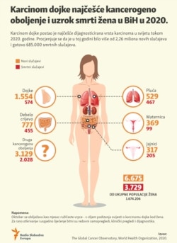 Bosnia and Herzegovina, Breast cancer infographic, 2020.