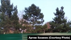 Мэрия Омска планирует вырубить 43 дерева в парке для установки стелы и парковки