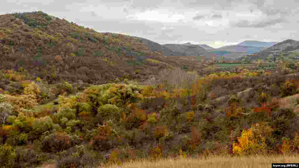 Долина Кучук-Карасу на тлі гори Хачи-Хаш (праворуч), біля підніжжя якої розкинулося сусіднє село Горлинка. За ним &ndash; однойменне водосховище
