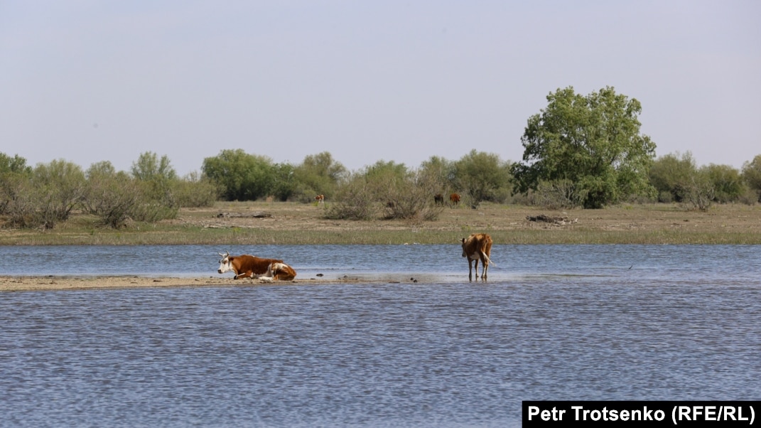 Қыздардың секс галереясы Mygames com ua порно девственницы 11 жаста