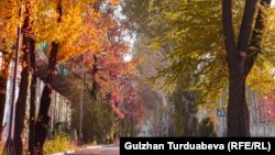 Бишкек шаары.