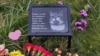 В Петербурге установили мемориал в память о замученном коте из Северодвинска