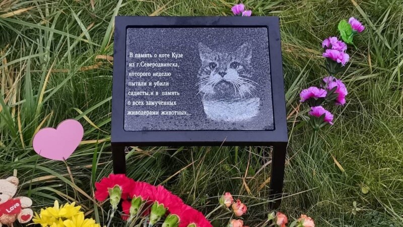 В Петербурге установили мемориал в память о замученном коте из Северодвинска