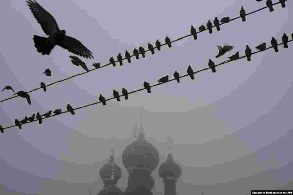 Birds sit on wires on a foggy morning in Russia&#39;s Ostankino district north of Moscow.&nbsp;