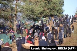 Нелагальні мігранти на біля кордону з Польщею у Гродненській області Білорусі. 9 листопада 2021 року