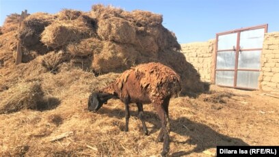 Қыздарда терең письки бар ма? Ананың секс туралы ретро порно фильмдер онлайн