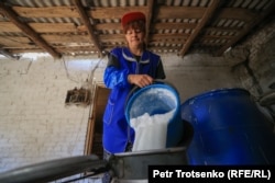 Анатолий Горбачевтың жылқы фермасында бие сүтін ыдысқа құйып тұрған сауыншы. Чеботарево ауылы, БҚО, 28 тамыз 2021 ж.