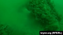 Поврежденный подводный коллектор вблизи Ялты, нечистоты выливаются в Черное море, 2019 год