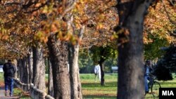 Илустрација: Есен во Скопје