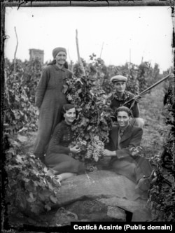 Porodica vinara u rumunskoj regiji Ialomita oko 1940. godine. Iako tamošnja vinska kultura datira nekoliko hiljada godina, 1880-ih godina je napadom insekata uništen veći dio vinograda. Tada su mnoge autohtone sorte grožđa zamijenjene francuskim.