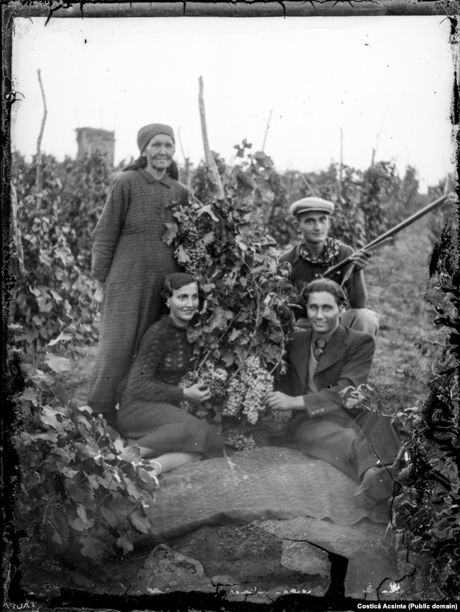 Një familje prodhuesish të verës në rajonin e Ialomita të Rumanisë, rreth vitit 1940. Kultura e verës në Rumani daton disa mijëra vjet më parë, por në vitet 1880 një insekt ka shkatërruar pjesën më të madhe të vreshtave të vendit. Shumë varietete autoktone rrushi janë zëvendësuar më pas me ato franceze.