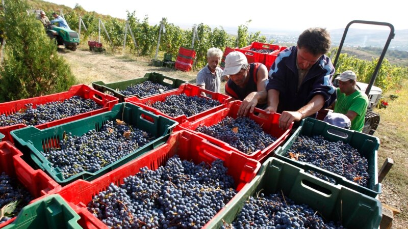 Prima mare reformă administrativă a Guvernului Bolojan. Zeci de instituții dispar din agricultură, sute de șefi își pierd funcțiile