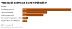 Az öt legkeresettebb beavatkozás között a szürkehályog levétele áll az élen, ami egy gyors és egyszerű rutinműtét. A protézisműtétek viszont már jellemzően nem azok.