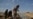 خشکسالی در افغانستان