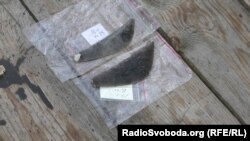 Серпи, яким понад 2,5 тисячі років, знайдень на Рівненщині. 26 серпня 2019 року