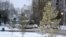Қызылжарда қаңтардың аязы қысып тұр.Петропавл,27 қаңтар, 2009 жыл.