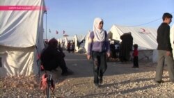 Бег от «русского медведя» (видео)