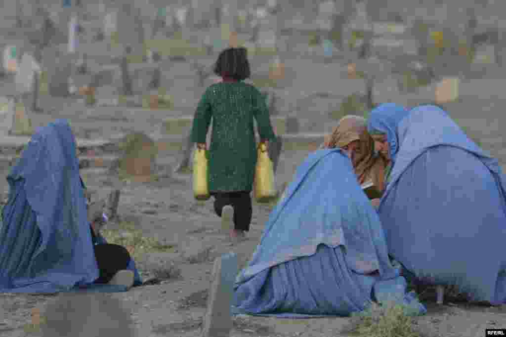 Rădăcinile talibanilor #32