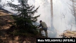 Հրդեհ՝ Բորժոմիի անտառներում