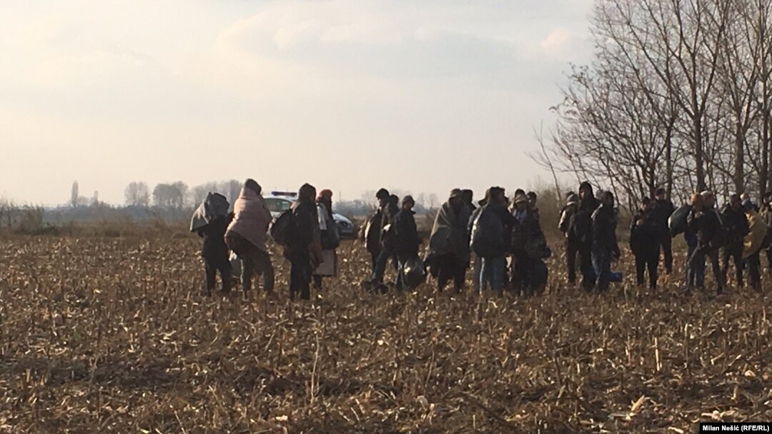Na graničnom prelazu Šid otkriveno jedanaest, na Batrovcima osam ilegalnih migranata