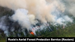 آرشیف، آتشسوزی در جنگلات