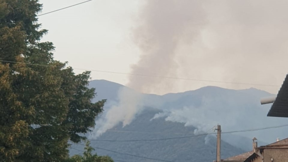 Военных перебрасывают на тушение пожара в Кахетии