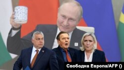 Владимир Путин, Виктор Орбан, Герхард Шрьодер, Марин льо Пен. Колаж.