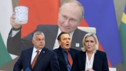Владимир Путин, Виктор Орбан, Герхард Шрьодер, Марин льо Пен. Колаж.