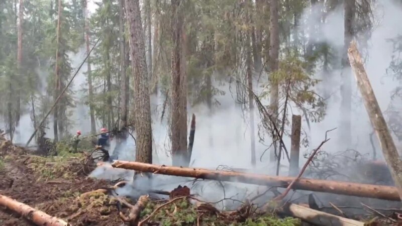 Тушение лесного пожара в республике Коми 