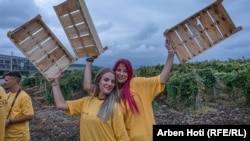 Dea Ypi (djathtas), një nga vajzat që morën pjesë në garën e vjeljes së rrushit.