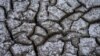 Партизанське водоймище, 22 січня 2020