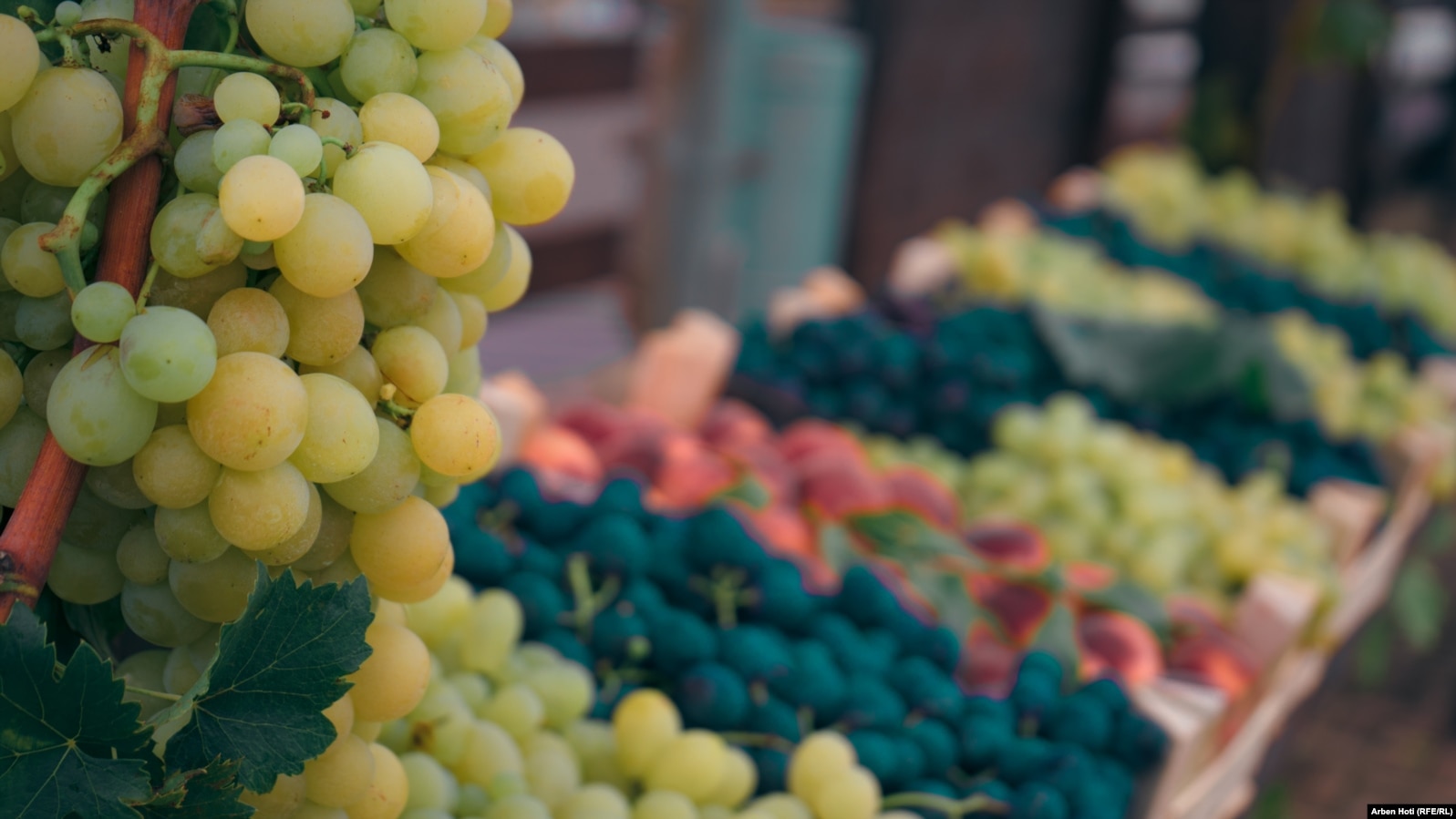 Rahoveci njihet për kultivimin e rrushit dhe verërave.