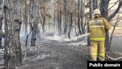 Kazakh authorities said that more than 9,000 hectares were still ablaze in the Kostanay region late on September 3. 