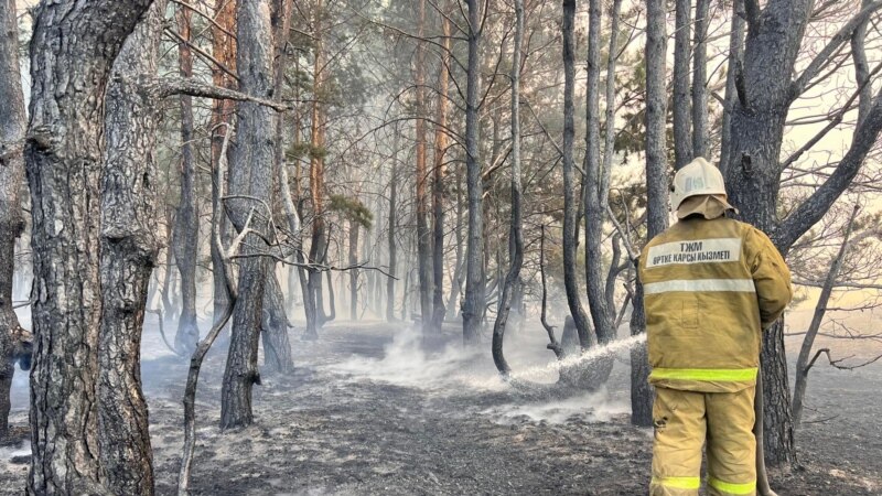 Vatrogasci se bore sa šumskim požarom u sjevernom Kazahstanu
