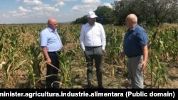 Ministrul Agriculturii şi Industriei Alimentare, Vladimir Bolea, într-o vizită de lucru în raionul Taraclia, 4 august 2022