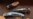 16x9 Image