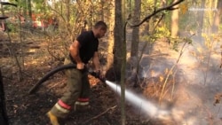 Kiyev civarındaki ormanda ateşni nasıl söndürdiler (video)