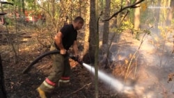 Як гасили ліс під Києвом