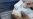 Leaders Hail Plan To Stabilize Euro
