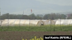Bujqit në Maqedoninë e Veriut kërkojnë rritjen e subvencioneve për nxitjen e prodhimit vendor.