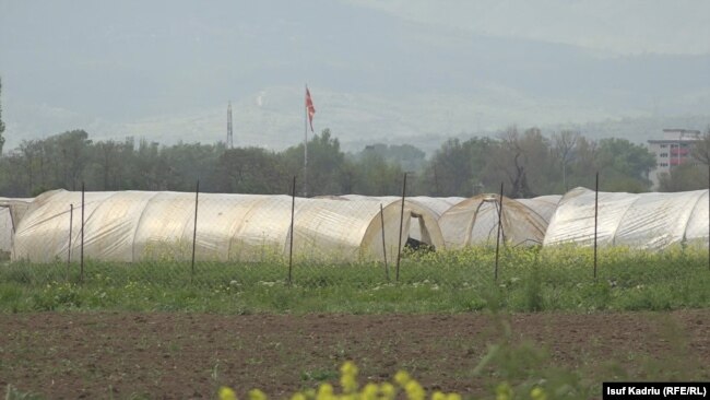 Bujqit në Maqedoninë e Veriut kërkojnë rritjen e subvencioneve për nxitjen e prodhimit vendor.