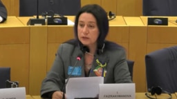 Европа парламентында Татарстанның бәйсезлеген тануны сорадылар