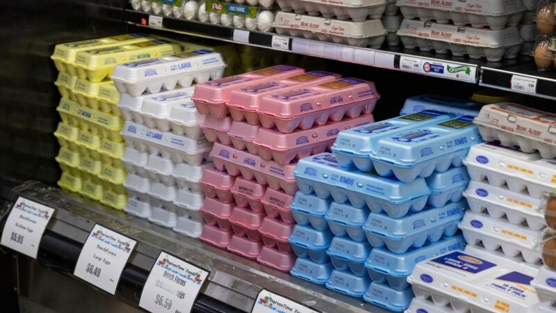 U SAD-u zahtjevi za ispitivanjem sve viših cijena jaja