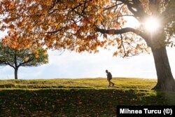 Seljanin u Apušeniju u jesen 2022. godine. Nakon što je Turcu napravio fotografiju, farmer mu je prišao i pitao ga: "Da li bi mogao da me povedeš sa sobom u Bukurešt? Želim da odem u parlament, da kažem tim ljudima kako živimo ovde..."