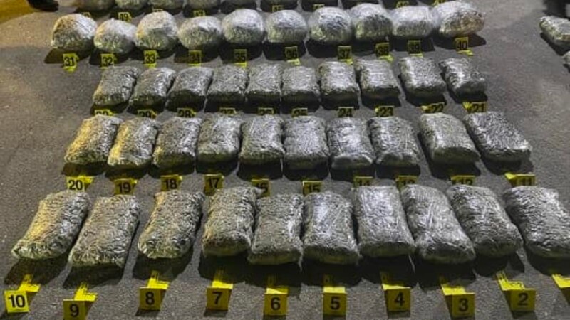 Policia sekuestron mbi 100 kg marihuanë