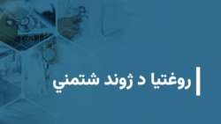 روغتیا د ژوند شتمني