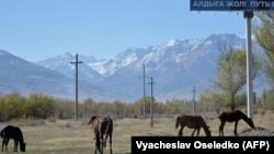 Байтик айылы. Иллюстрациялык сүрөт.