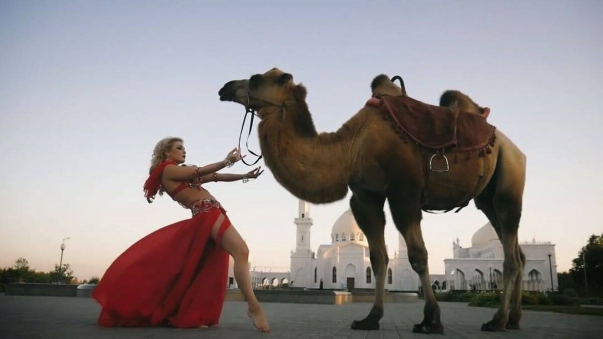 Танцующие верблюды. Танцующие верблюды. Camel танцует. Танцующие верблюды. Танец верблюдов.