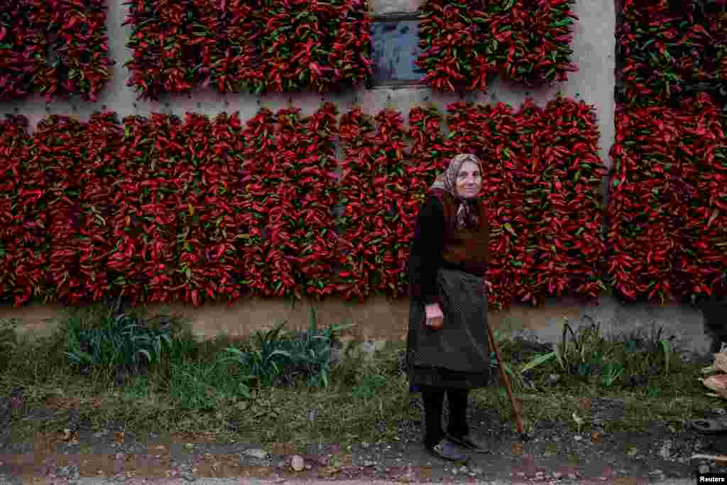 A woman poses for a picture as bunches of paprika hang on the walls of her house to dry in the village of Donja Lakosnica, Serbia. (Reuters/Marko Djurica)